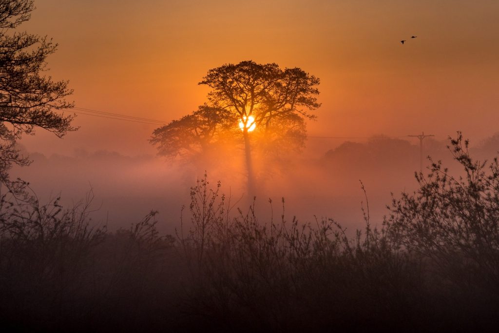 Ilustrar a Natureza e o Ambiente